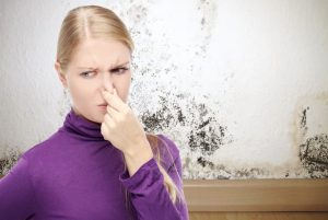 how-to-get-rid-of-that-musty-smell