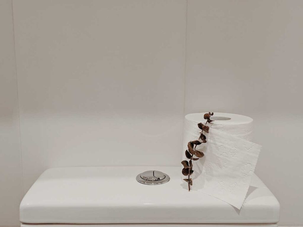 White toilet tank with lid open showing empty interior, roll of white toilet paper with dried eucalyptus decoration on white shelf.