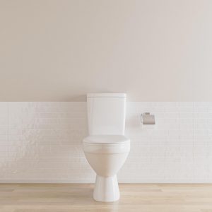 toilet